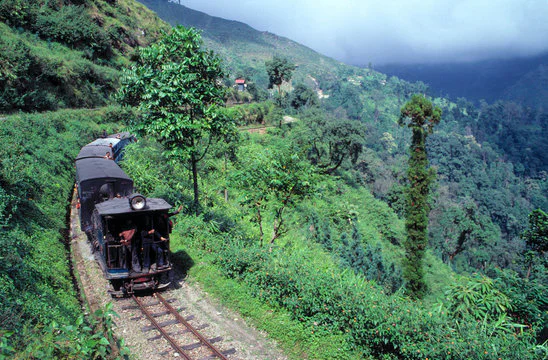 Darjeeling Tour