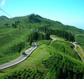 Darjeeling Tour