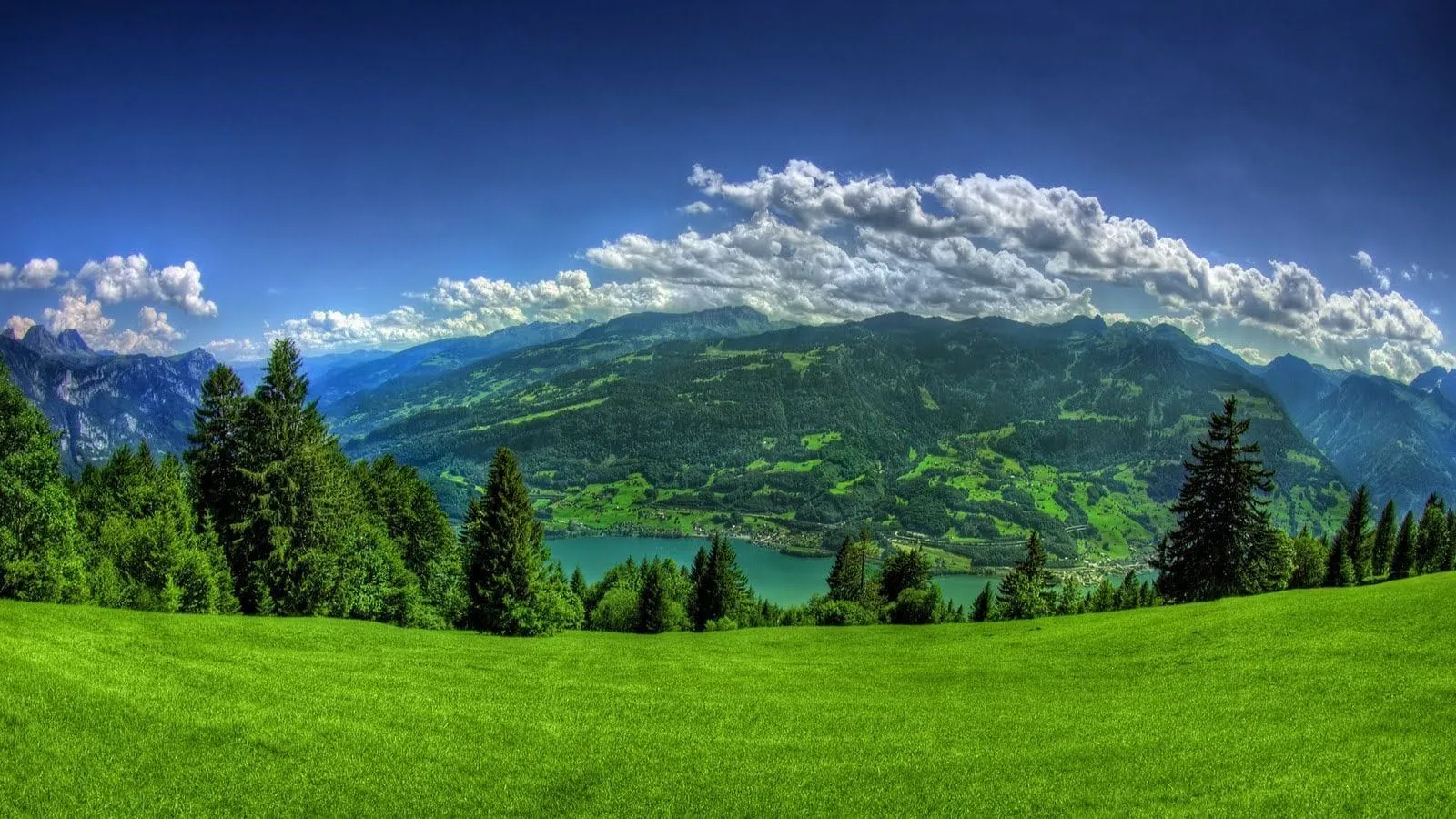 Darjeeling Tour