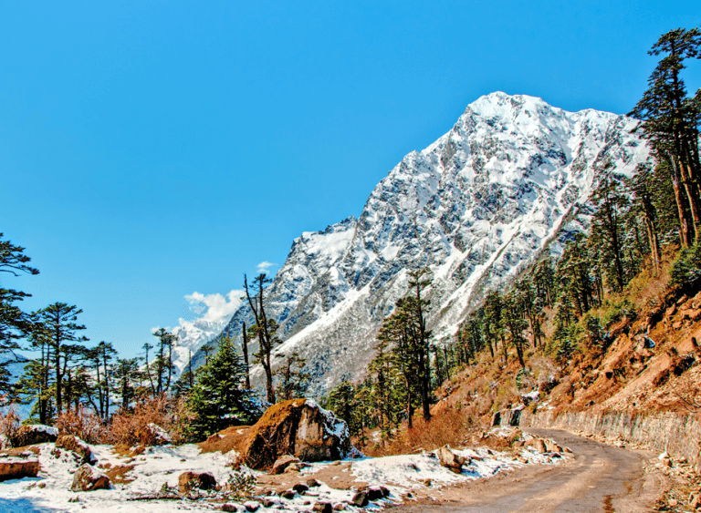 North Sikkim and Silk Route Tour Package 6 Nights 7 Days | Zuluk, Nathang Valley & Gurudongmar Lake