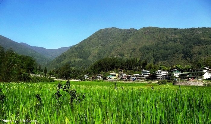 Uttarey: Serene Sikkim Village