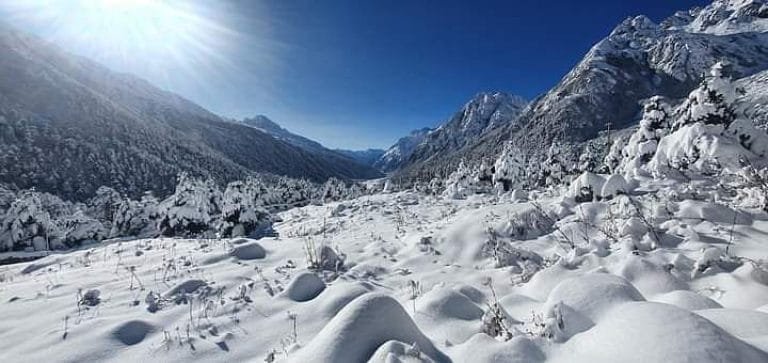 11 Days Sikkim Tour Package | Gangtok, North Sikkim & Pelling Tour