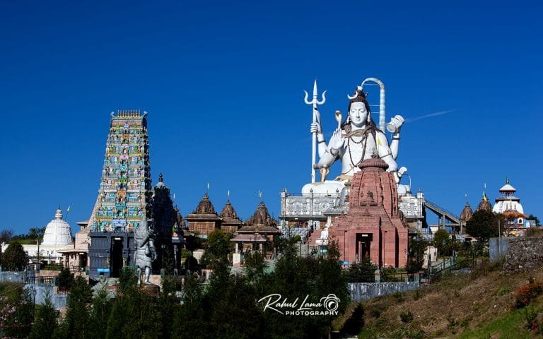 Namchi Chaar Dham, Temi Tea Garden & Ravangla Day Tour