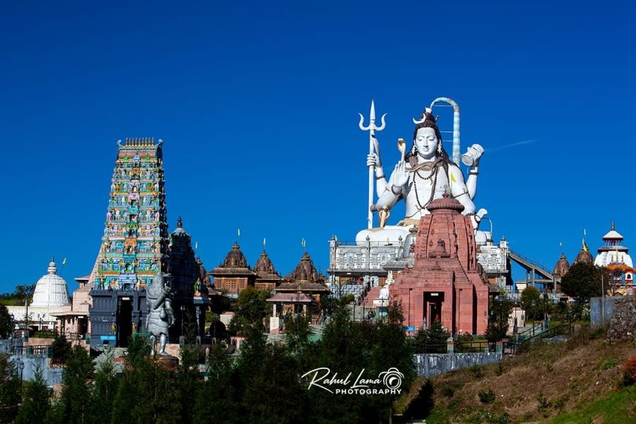Namchi Chaar Dham, Temi Tea Garden & Ravangla Day Tour