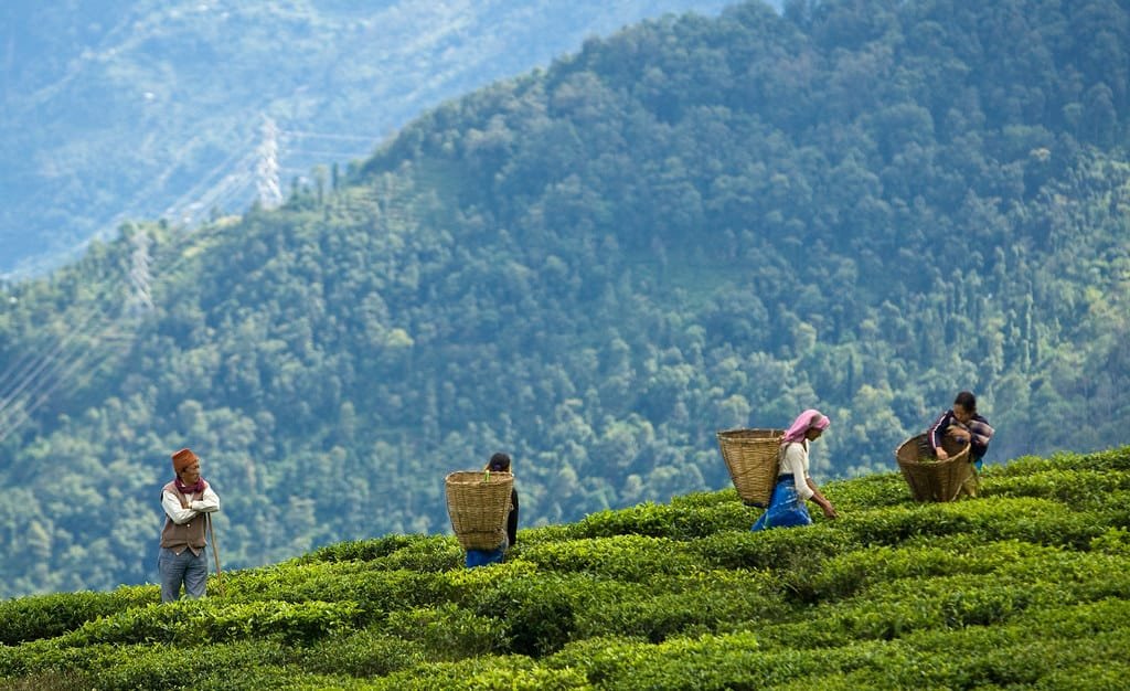 Responsible and Community-Based Tourism in Sikkim
